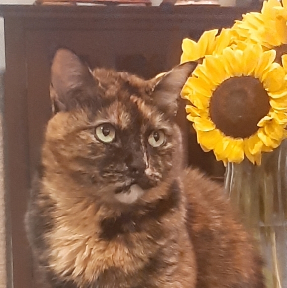 Meet your Posher, Danette - Picture 2 of 6